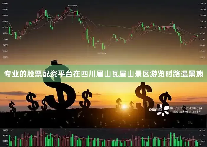 专业的股票配资平台在四川眉山瓦屋山景区游览时路遇黑熊