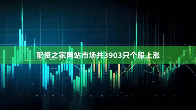 配资之家网站市场共3903只个股上涨